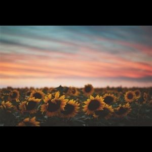 Meet your Posher, Evalyn